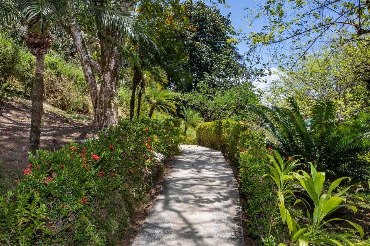 Tiki Villas Rainforest Lodge - Adults Only ウビタ エクステリア 写真